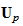$\QTR{bf}{U}_p^{}$