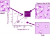 近藤研究室　超臨界流体の説明図
