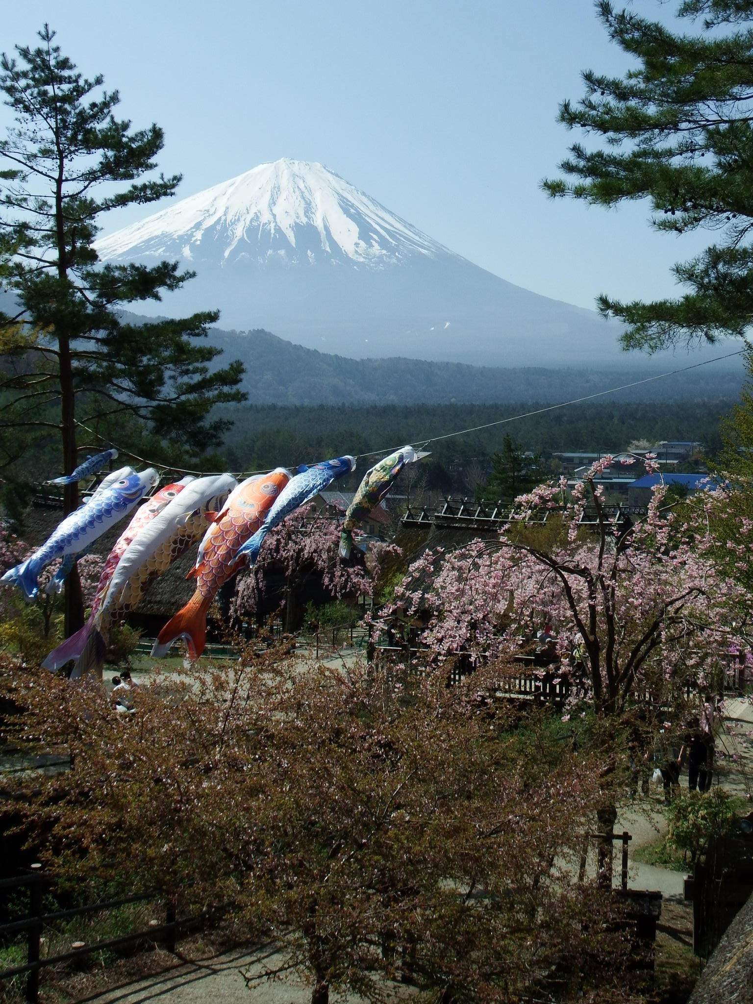 Mt.Fuzi in いやしの里