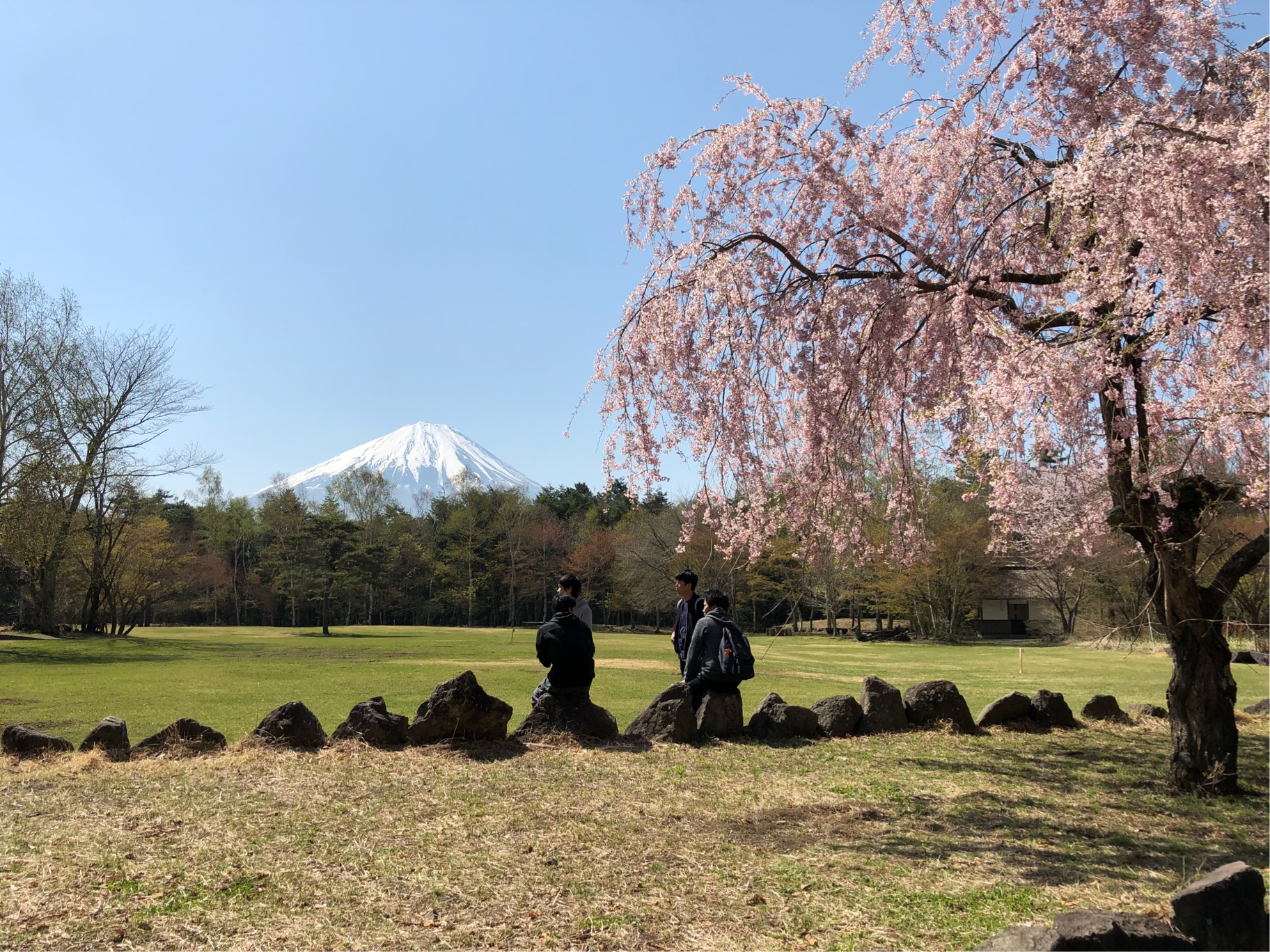 野鳥の森公園から望む富士
