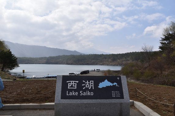 2日目の朝は少々曇っており、西湖からは富士山の裾が少し見えるだけでした。